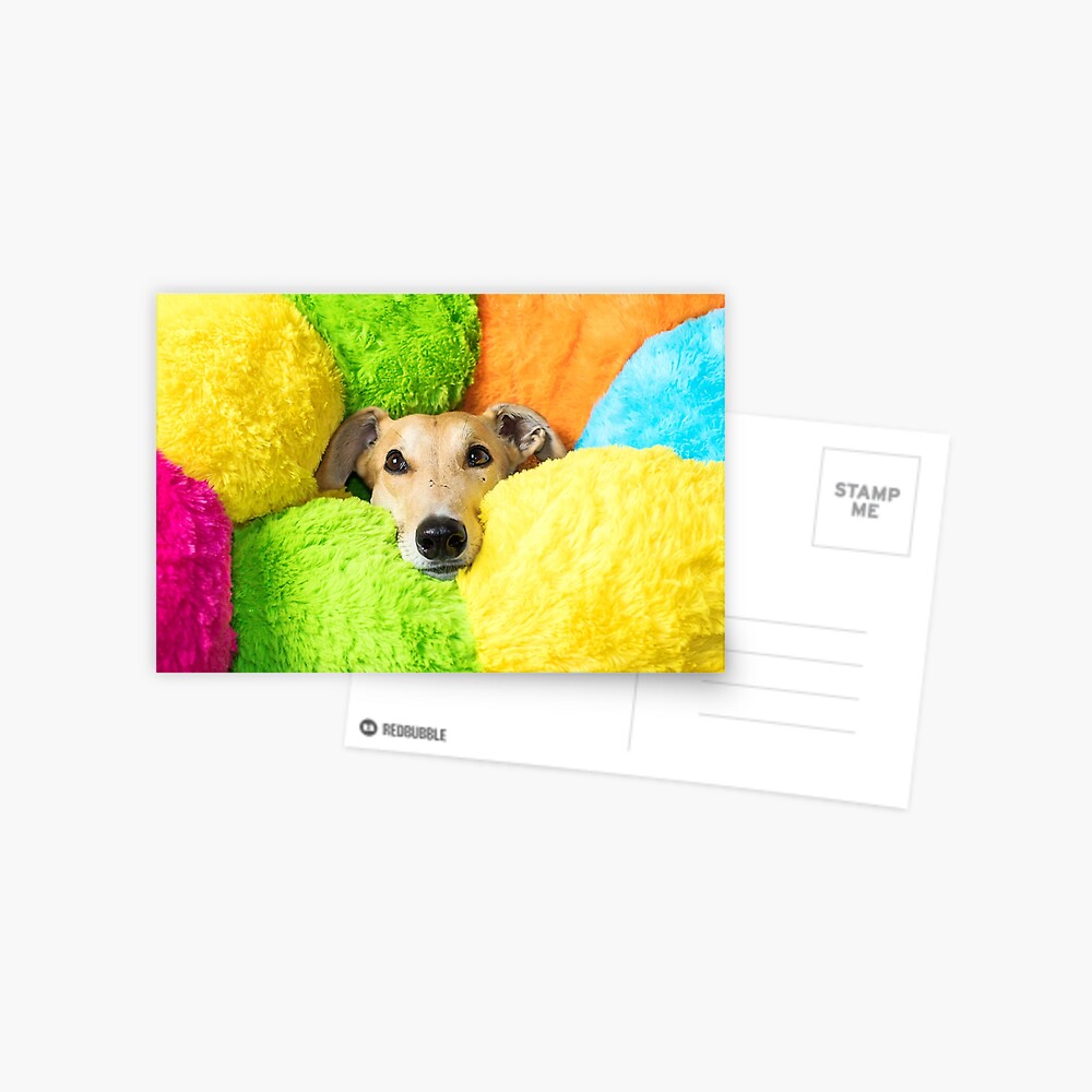 cuddlepillar dog toy