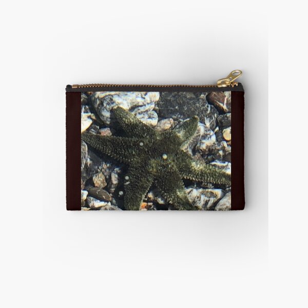 Item preview, Sea Star  designed and sold by FridayHarborMan.