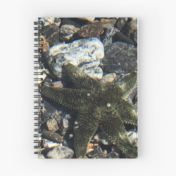 Item preview, Sea Star  designed and sold by FridayHarborMan.