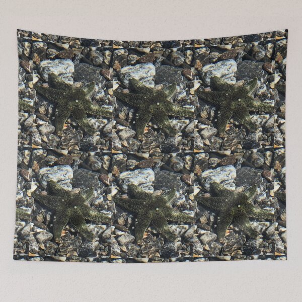 Item preview, Sea Star  designed and sold by FridayHarborMan.