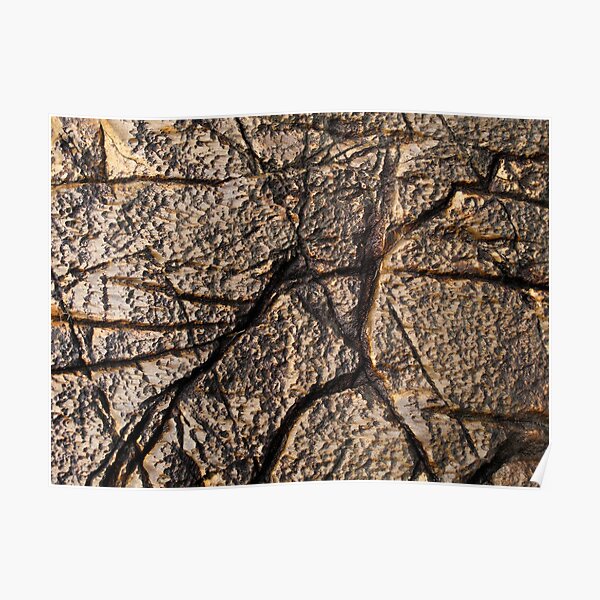 Rock Art I Poster