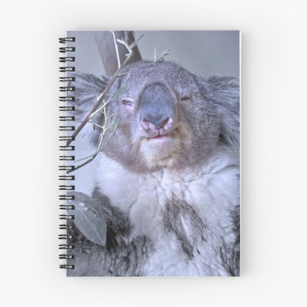 Item preview, Koala designed and sold by Alex Preiss.