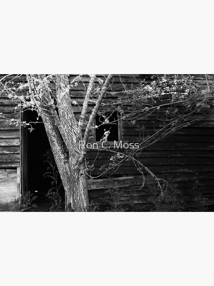 Fruit Picker's Hut at Neika by ronmoss