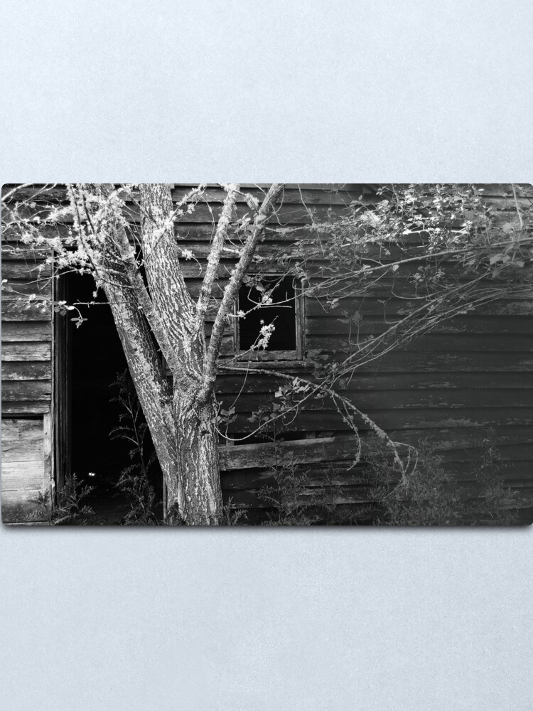 Alternate view of Fruit Picker's Hut at Neika Metal Print