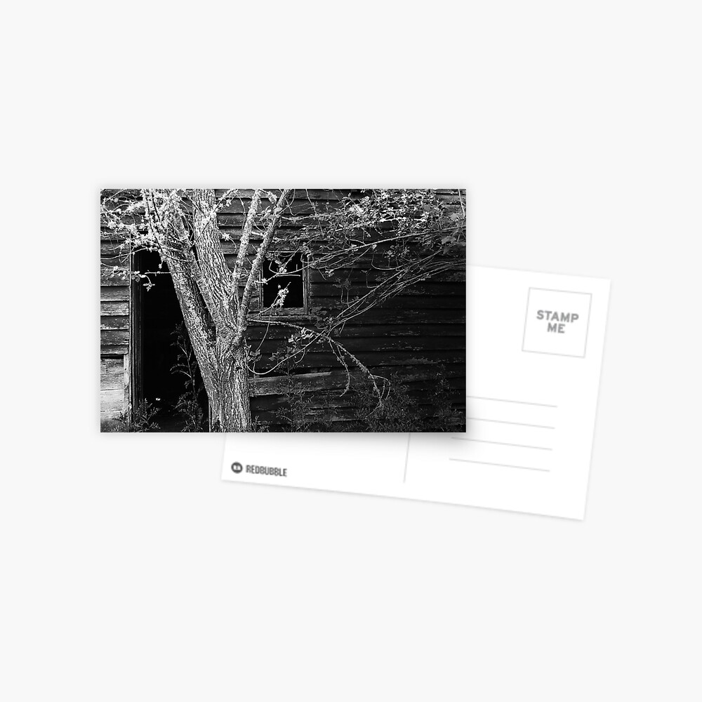 Fruit Picker's Hut at Neika Postcard