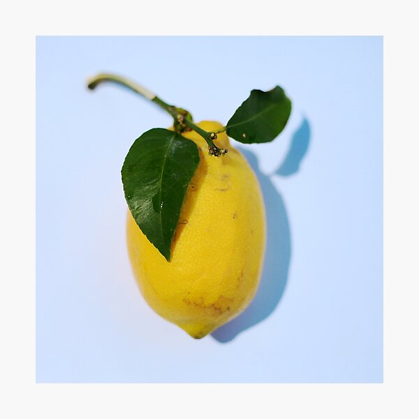Refreshing Lemon Photographic Print