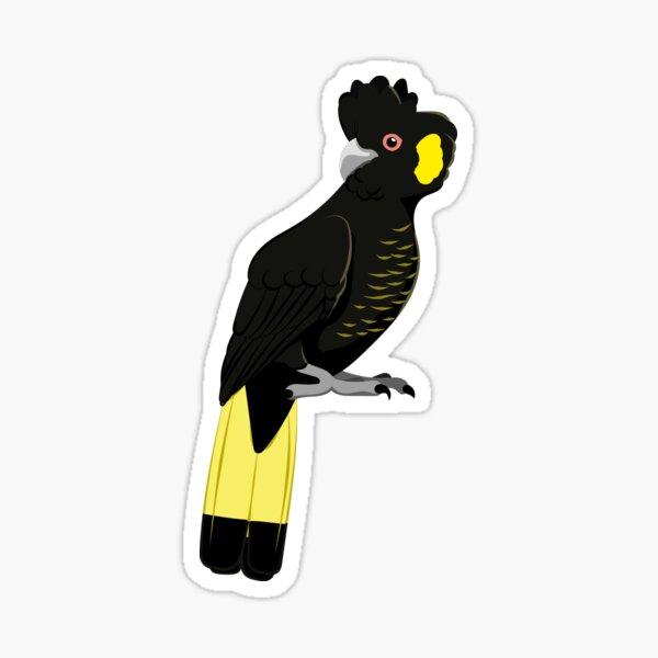 Yellow-tailed black-cockatoo Sticker