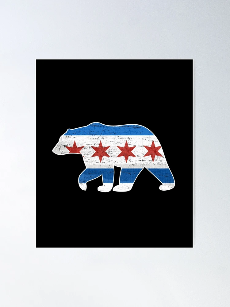 Chicago Flag Fun Pint Glass for Beer Gift for Chitown Lovers - Cute Ch -  bevvee