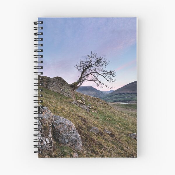 Item preview, Low Rigg Lone Tree designed and sold by Phil Buckle.