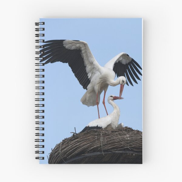 Item preview, White Stork Male And His Mate In Their Nest designed and sold by rawshutterbug.