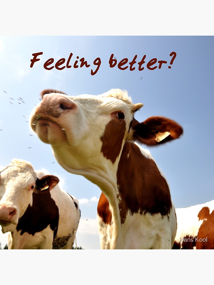 Are you feeling better now. Feeling better. Well done meme Cow.