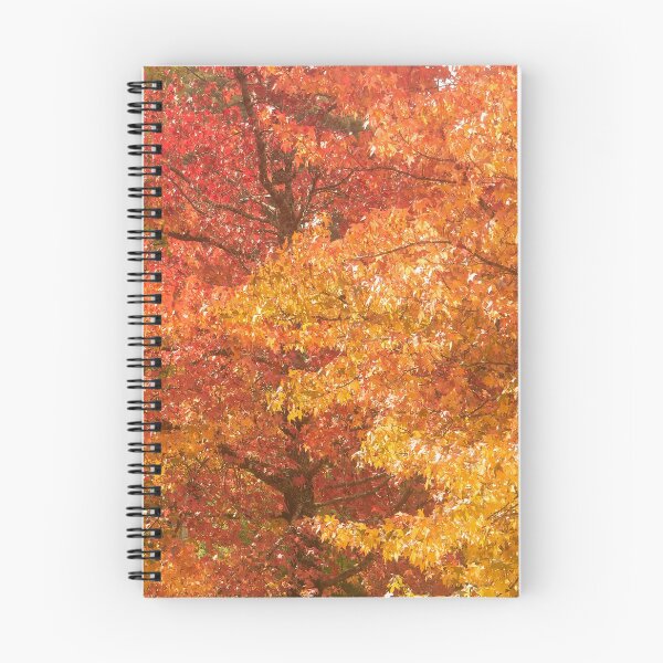 Item preview, Autumn Wonder - Blackheath NSW designed and sold by Salieri1627.