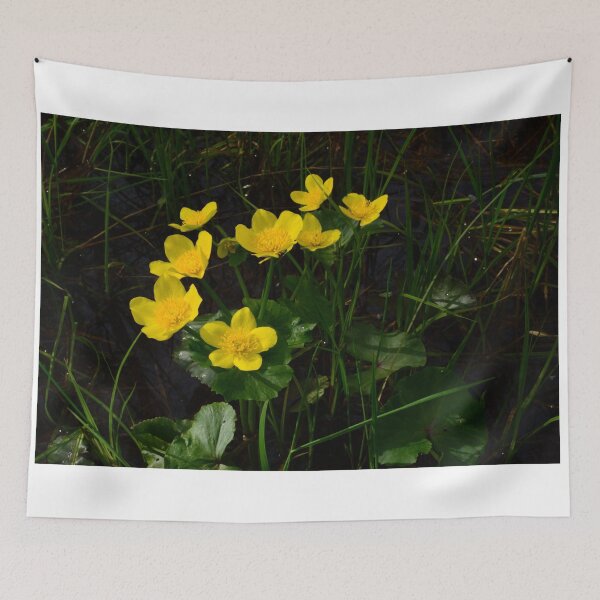 Item preview, Flowers Globeflowers on the banks of the swollen river in spring forest designed and sold by yarvin13.