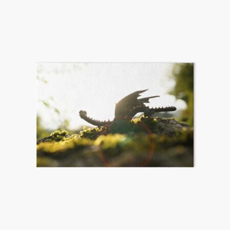 Dragonlet in sunbeam Art Board Print
