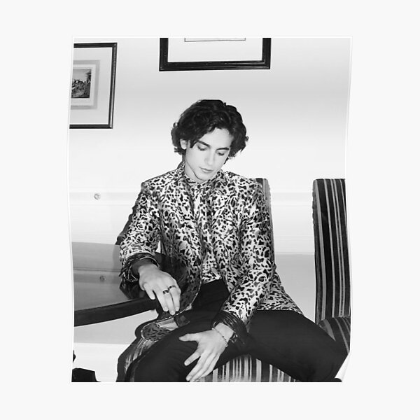 Timothée Chalamet Poster