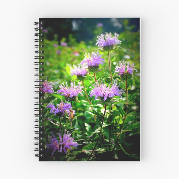 Item preview, Bee Balm designed and sold by Cecilia Carr.