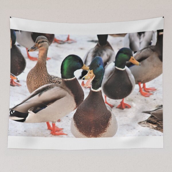 Item preview, ~YackYackYack~ designed and sold by DonnaM.