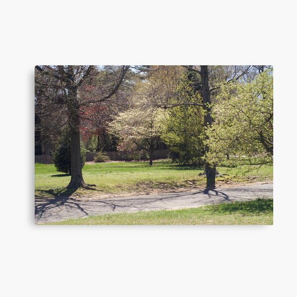 A walk through Knight Park, Collingswood NJ Canvas Print