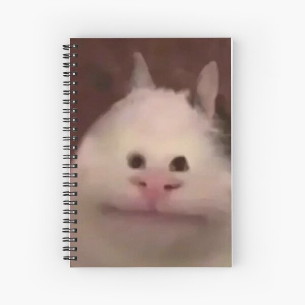 Aperçu de l'œuvre Meme Cat créée et vendue par Caspersonnn.