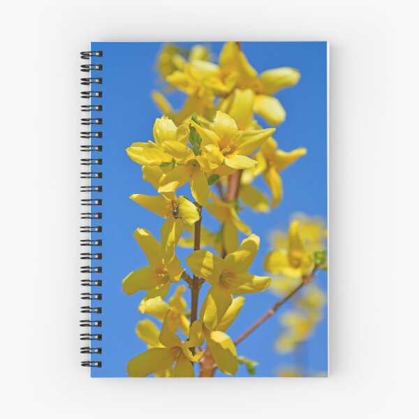Item preview, Forsythia Lynwood Flowers designed and sold by jojobob.