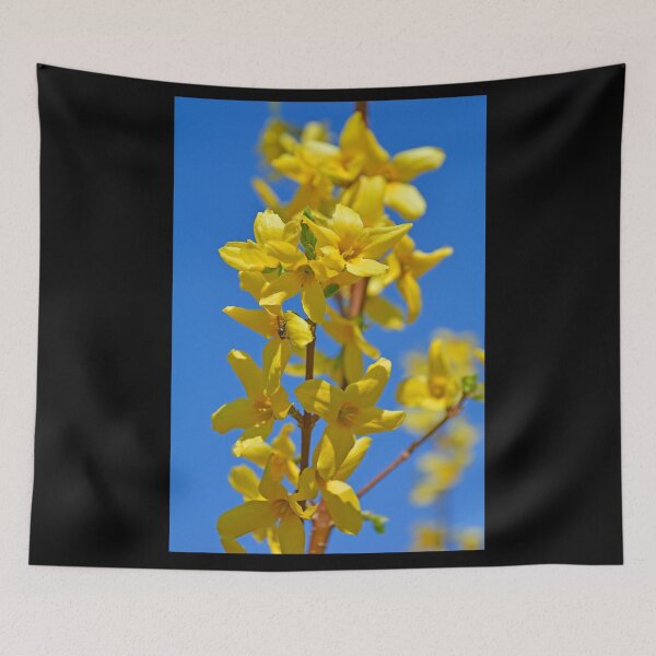 Item preview, Forsythia Lynwood Flowers designed and sold by jojobob.