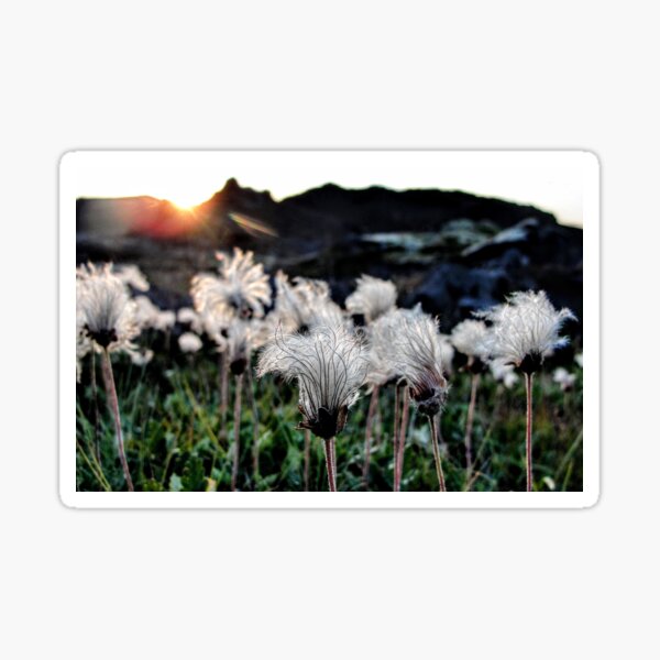 Cloudfloss Sticker
