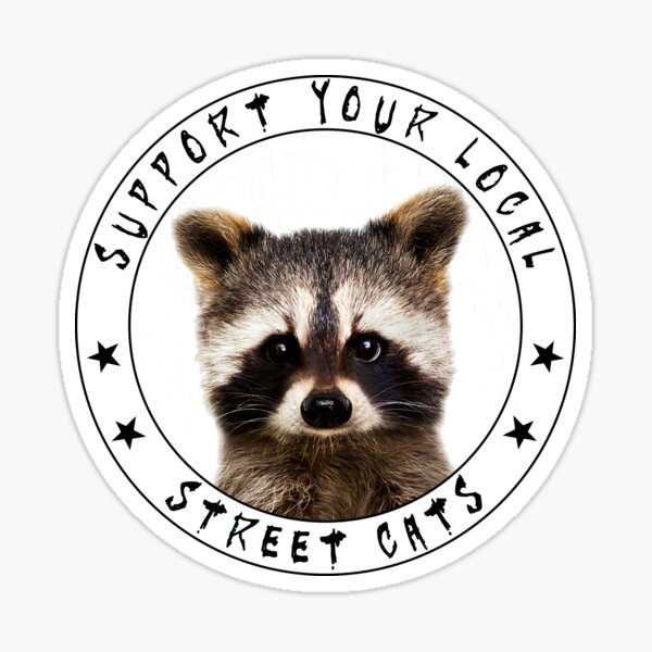 ADOPT ME, SUPPORT YOUR LOCAL STREET CAT Essential T-Shirt for