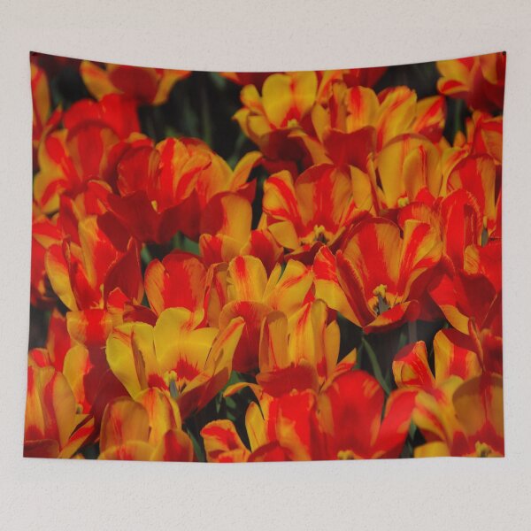Item preview, A Splash of Orange designed and sold by John Schneider.