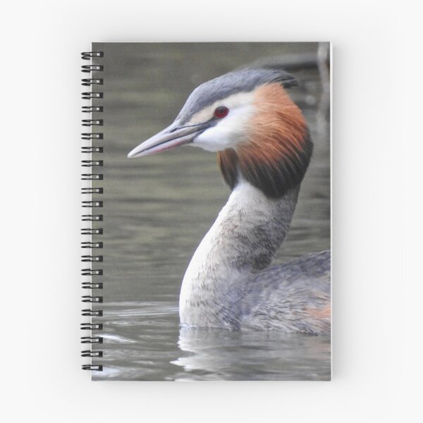 Item preview, Great Crested Grebe in the Rain designed and sold by Louisamhocking.