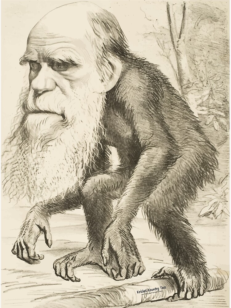 DARWIN: The Monkey's Uncle! by Kricket-Kountry