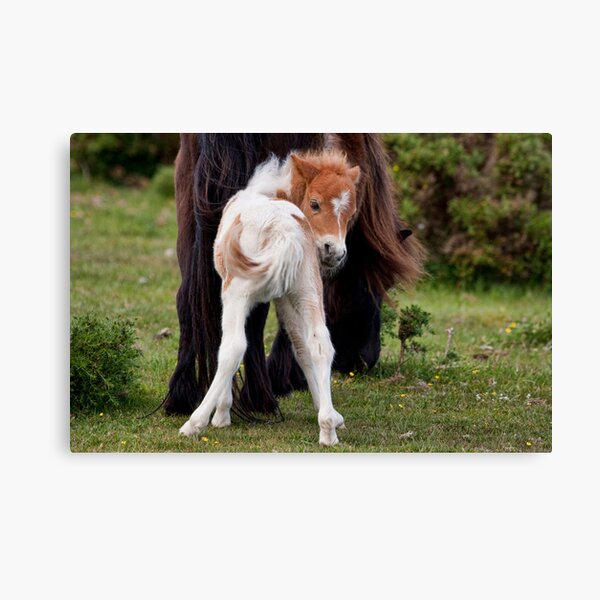 Is this my best side? Canvas Print