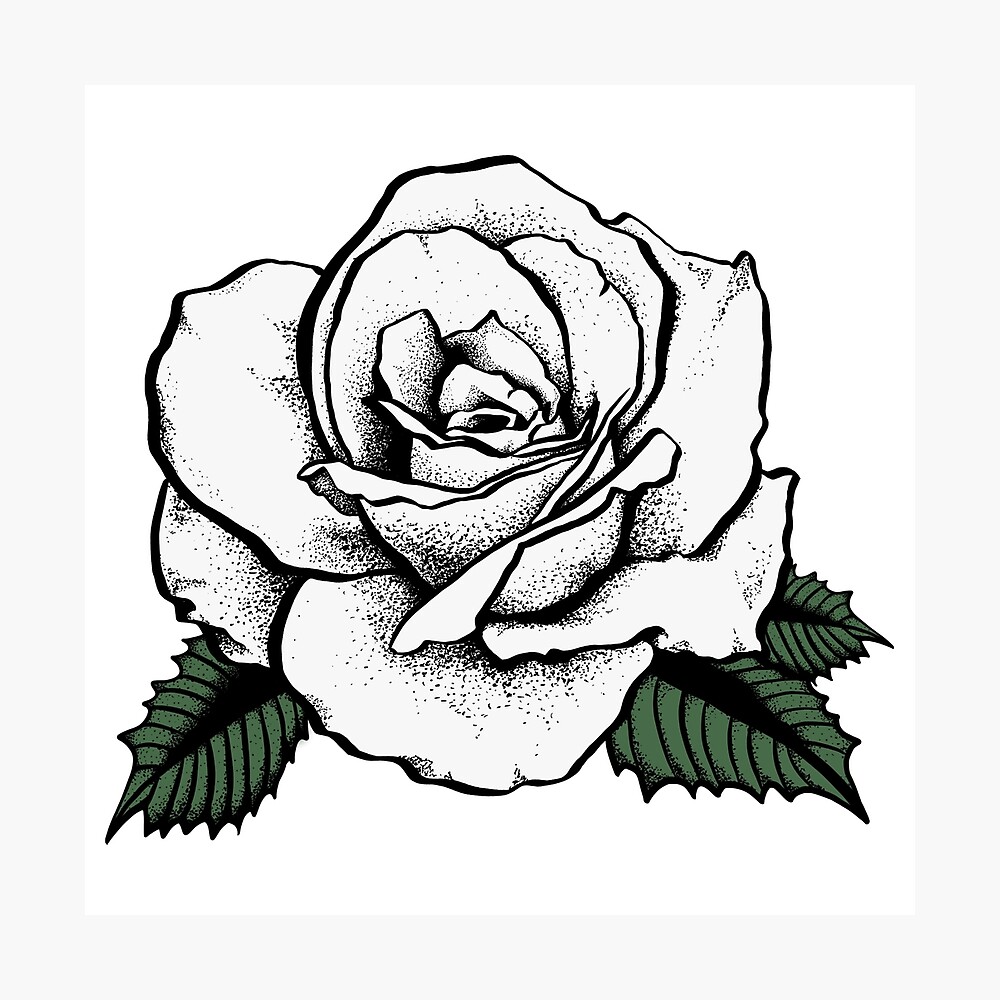 White Rose Tattoo Poster By Somatosis Redbubble