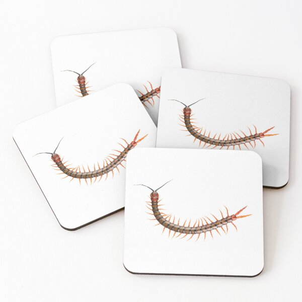 Item preview, Giant Centipede Creepy Crawly designed and sold by THP Creative.