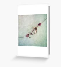 Caressing Touch Greeting Card