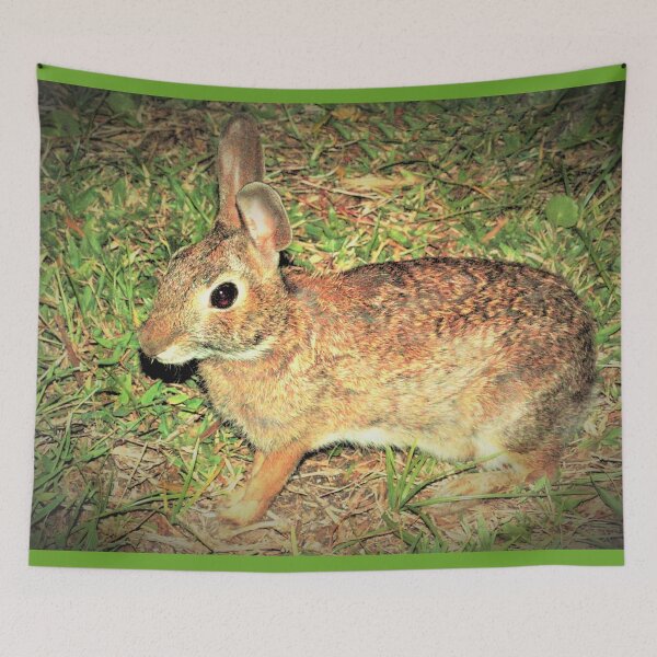 Item preview, Captivating cottontail designed and sold by B. Randi Bailey.