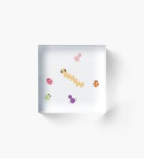 Cute Bugs Acrylic Block