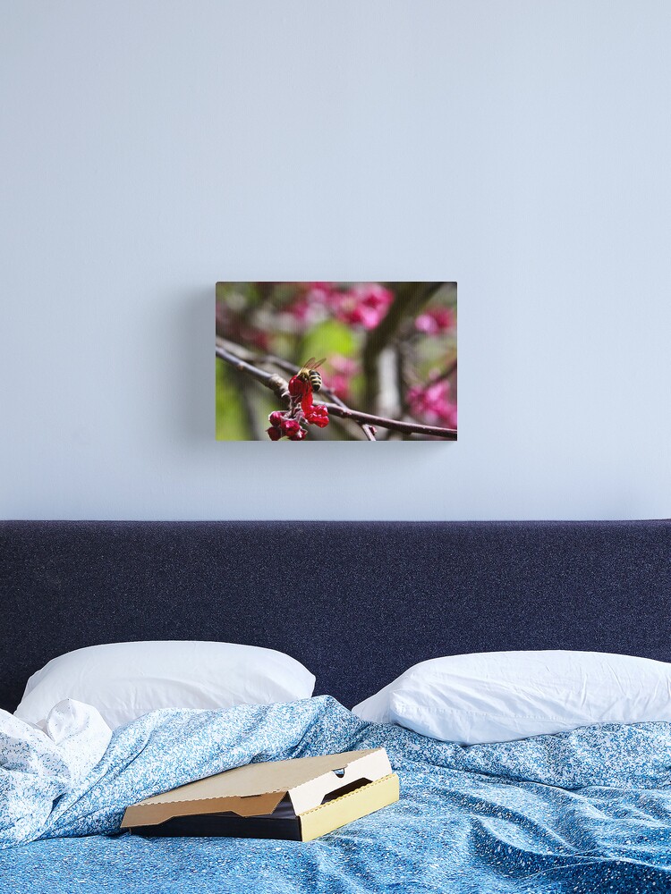 Thumbnail 1 of 3, Canvas Print, Let me in... designed and sold by Andreas Koepke.