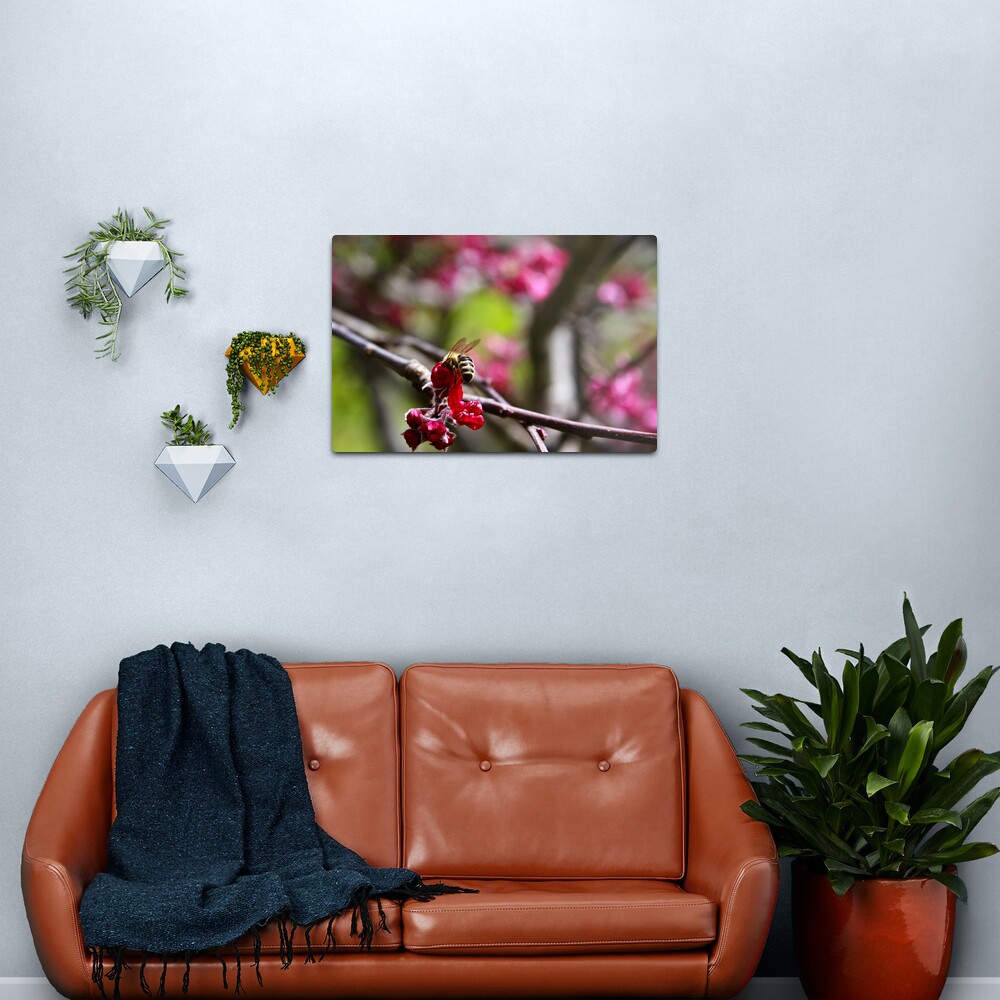 Let me in... Metal Print