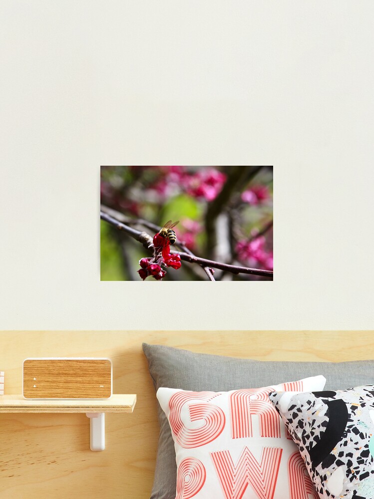 Thumbnail 2 of 3, Photographic Print, Let me in... designed and sold by mistered.