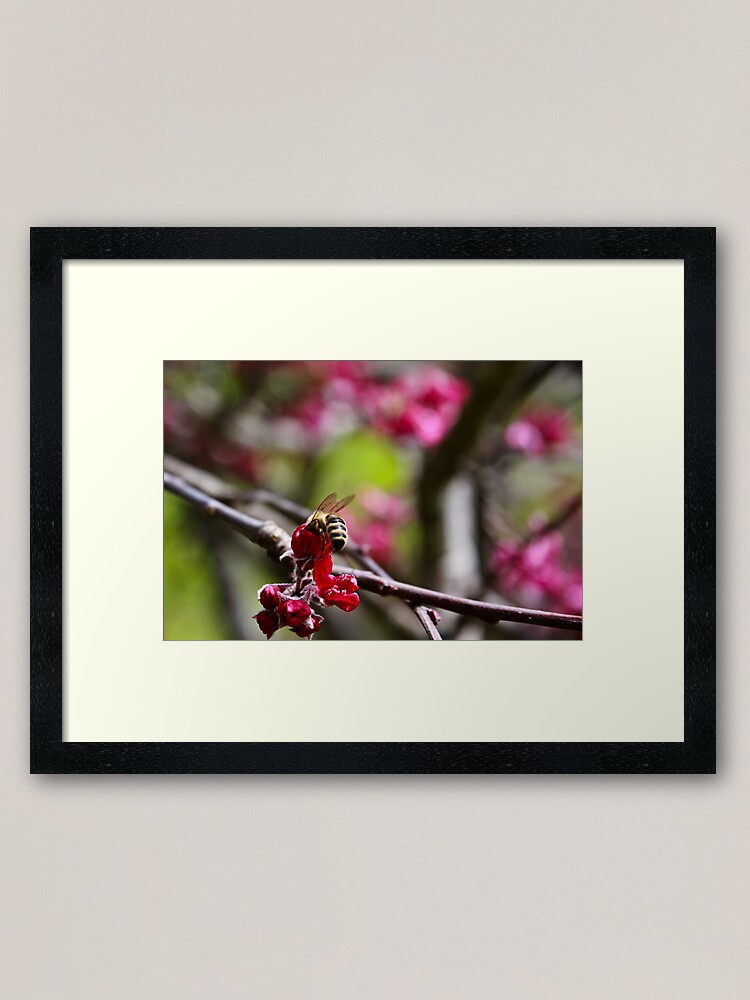 Alternate view of Let me in... Framed Art Print