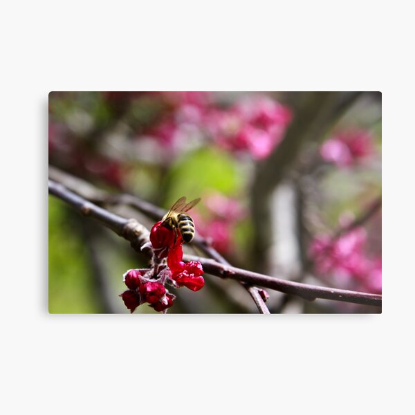 Let me in... Metal Print