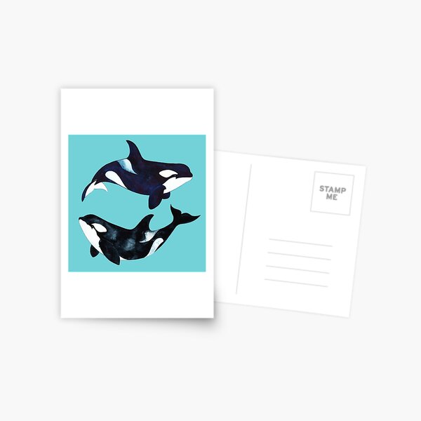 Orca Twins Postcard