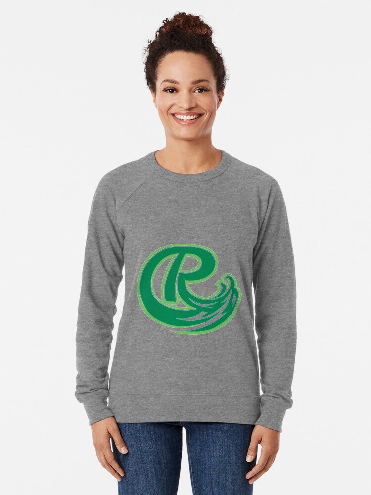 Roosevelt university 2025 sweatshirt