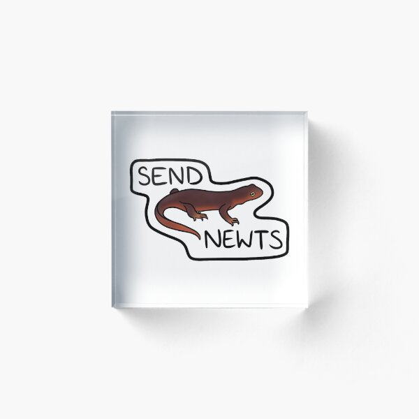 Send Newts Acrylic Block