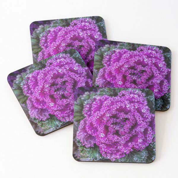 Item preview, Sparkling kale designed and sold by Art in Nature.