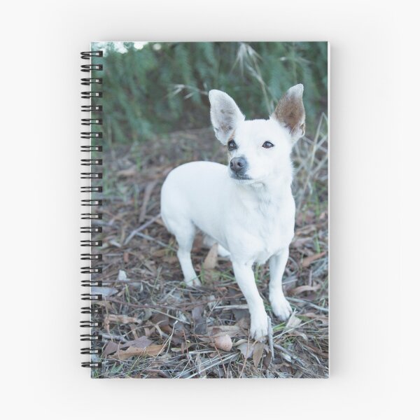 Item preview, Little Nelly.... designed and sold by mitpjenkeating.