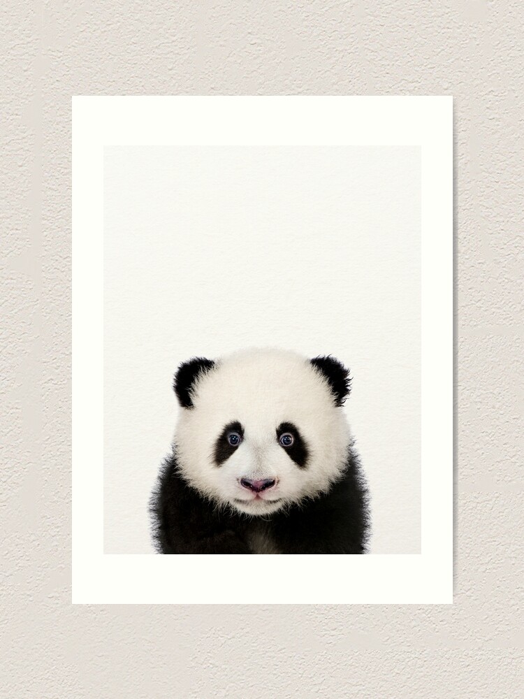 Baby Panda Baby Animals Art Print By Synplus Art Print By Synplus Redbubble Baby Panda Baby Animals Art Print By Synplus Art Print By Synplus Redbubble