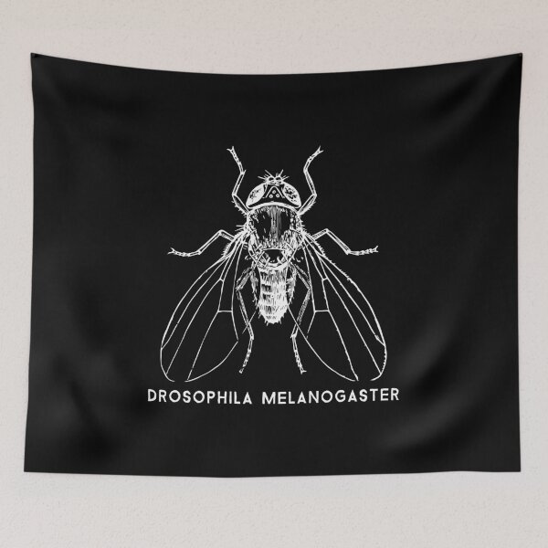 Item preview, Fruit Fly Drosophila Melanogaster for Gene Researchers designed and sold by walrusindustrie.