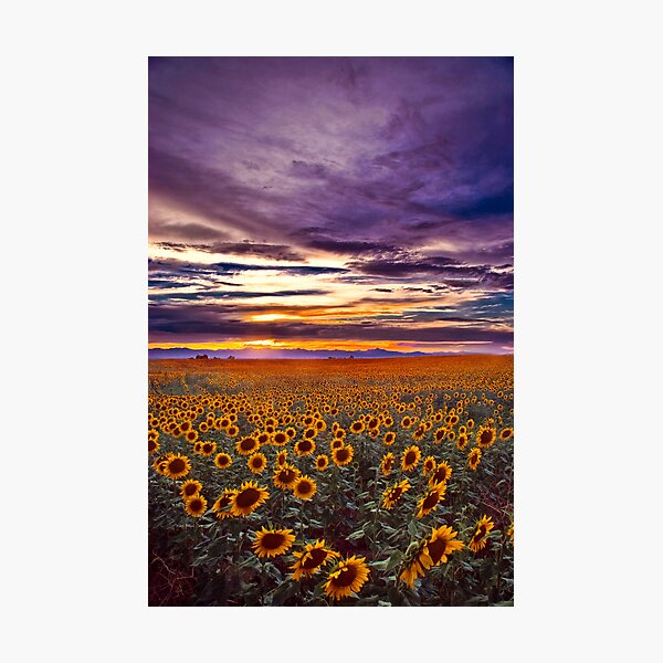 The End Of The Day Photographic Print