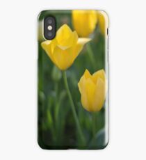 Yellow Crown Tulips iPhone Case